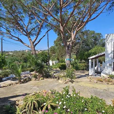 Villa Quinta Do Lagar - Rural Retreat By The #4 *