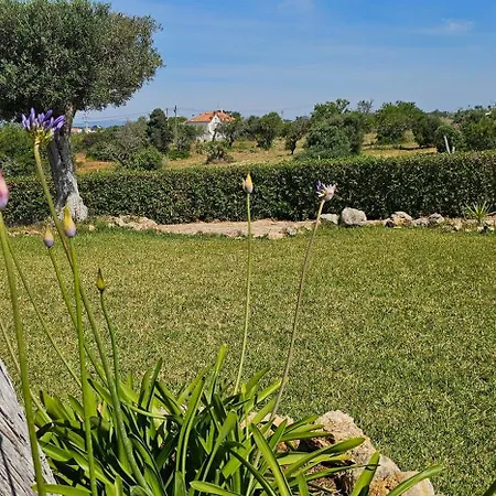 Quinta Do Lagar - Rural Retreat By The #4 Villa *