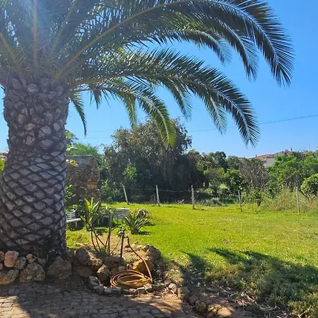 Quinta Do Lagar - Rural Retreat By The #4 Albufeira
